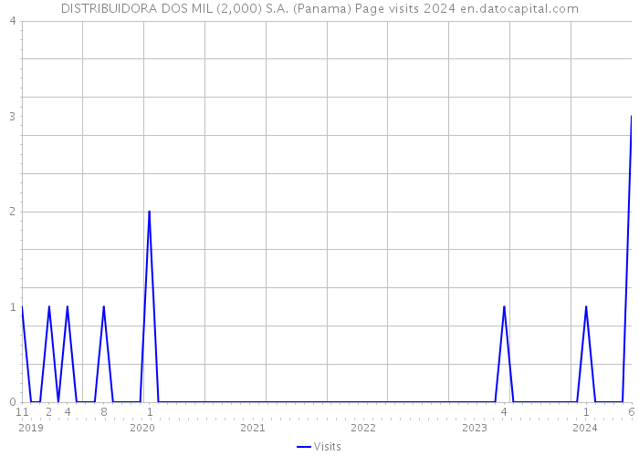 DISTRIBUIDORA DOS MIL (2,000) S.A. (Panama) Page visits 2024 