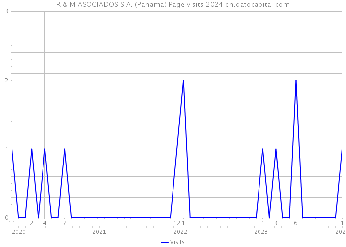 R & M ASOCIADOS S.A. (Panama) Page visits 2024 