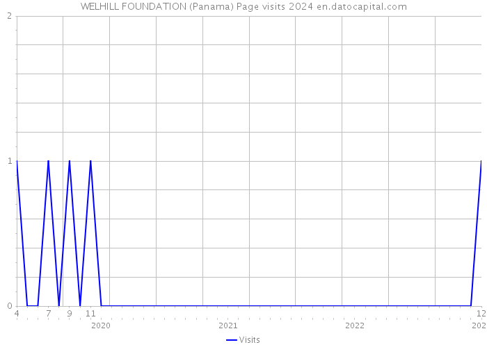 WELHILL FOUNDATION (Panama) Page visits 2024 