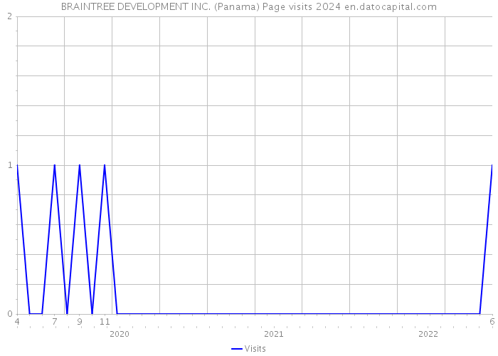 BRAINTREE DEVELOPMENT INC. (Panama) Page visits 2024 