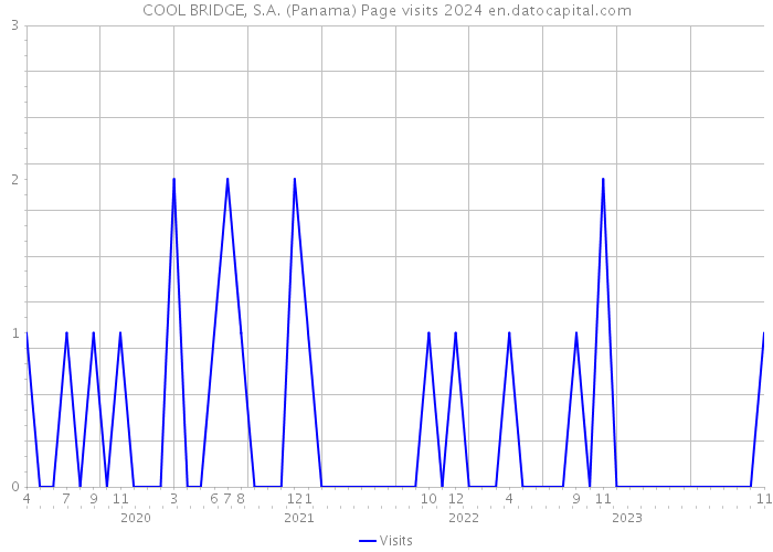 COOL BRIDGE, S.A. (Panama) Page visits 2024 