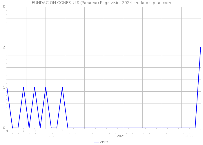 FUNDACION CONESLUIS (Panama) Page visits 2024 