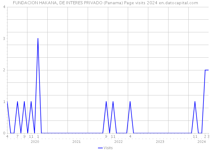 FUNDACION HAKANA, DE INTERES PRIVADO (Panama) Page visits 2024 
