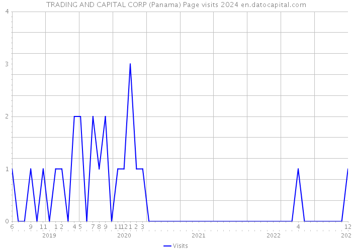 TRADING AND CAPITAL CORP (Panama) Page visits 2024 