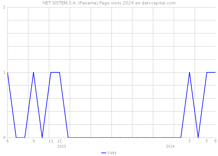 NET SISTEM,S.A. (Panama) Page visits 2024 