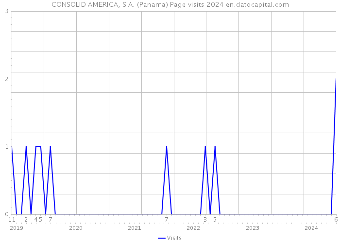 CONSOLID AMERICA, S.A. (Panama) Page visits 2024 
