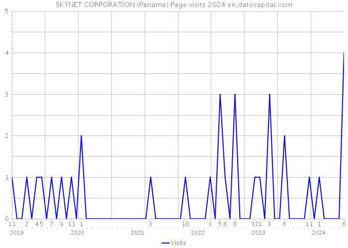 SKYNET CORPORATION (Panama) Page visits 2024 