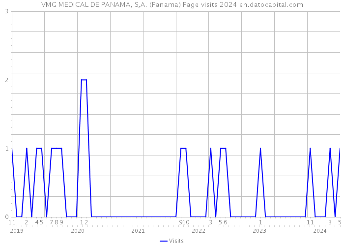 VMG MEDICAL DE PANAMA, S,A. (Panama) Page visits 2024 
