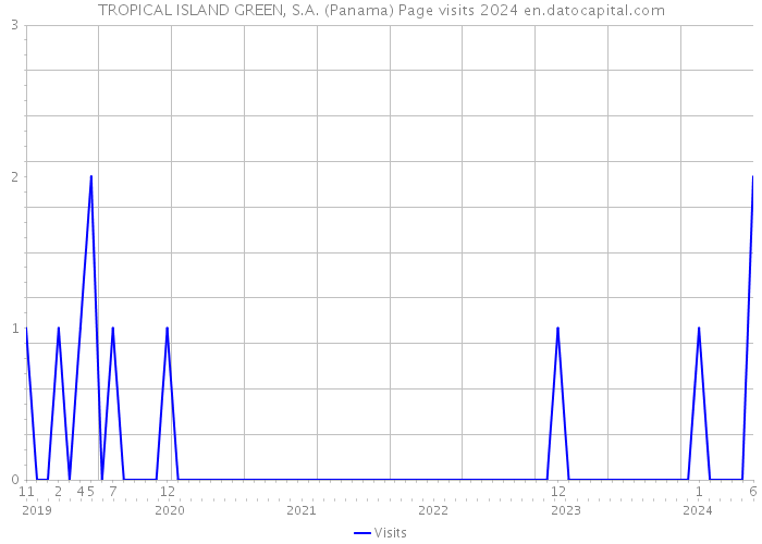 TROPICAL ISLAND GREEN, S.A. (Panama) Page visits 2024 