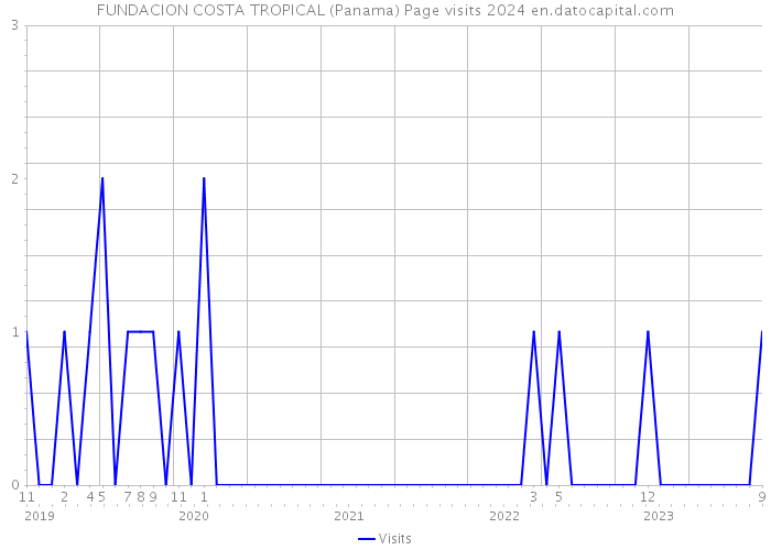 FUNDACION COSTA TROPICAL (Panama) Page visits 2024 