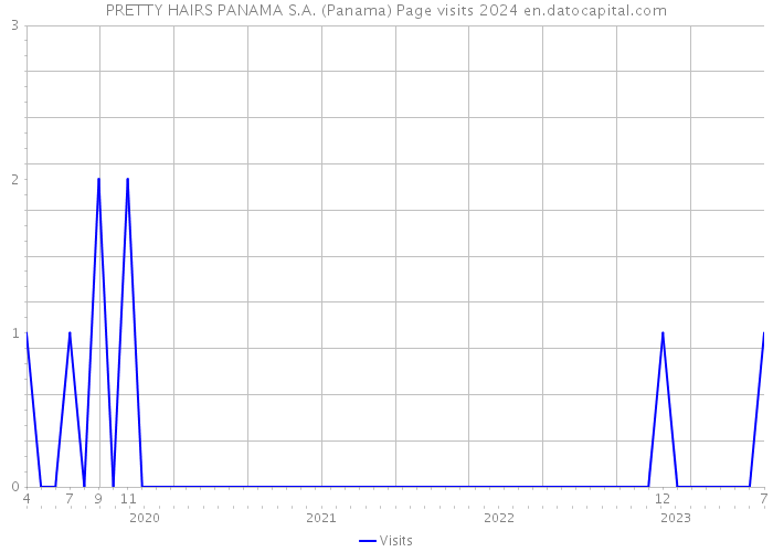 PRETTY HAIRS PANAMA S.A. (Panama) Page visits 2024 
