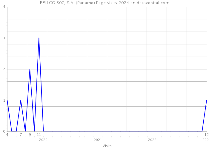 BELLCO 507, S.A. (Panama) Page visits 2024 