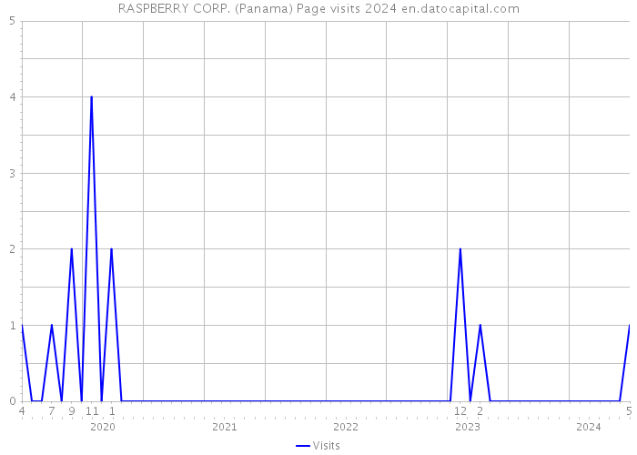 RASPBERRY CORP. (Panama) Page visits 2024 