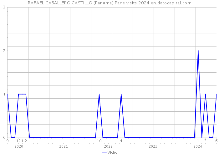 RAFAEL CABALLERO CASTILLO (Panama) Page visits 2024 