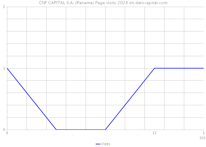 CNF CAPITAL S.A. (Panama) Page visits 2024 