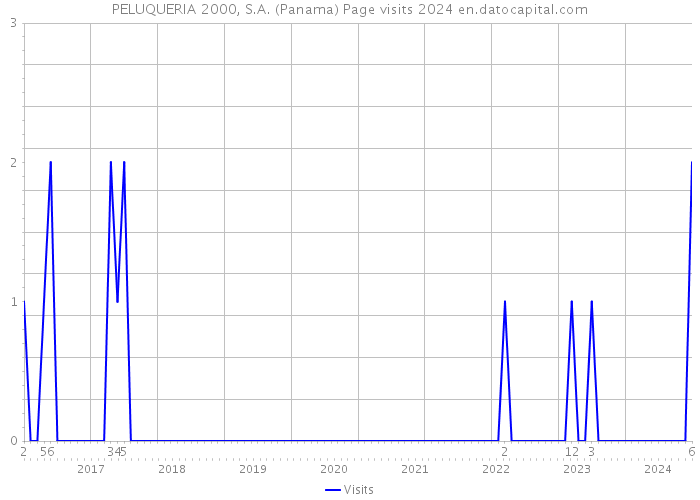 PELUQUERIA 2000, S.A. (Panama) Page visits 2024 