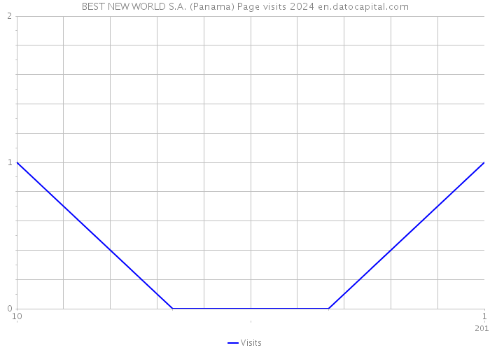 BEST NEW WORLD S.A. (Panama) Page visits 2024 