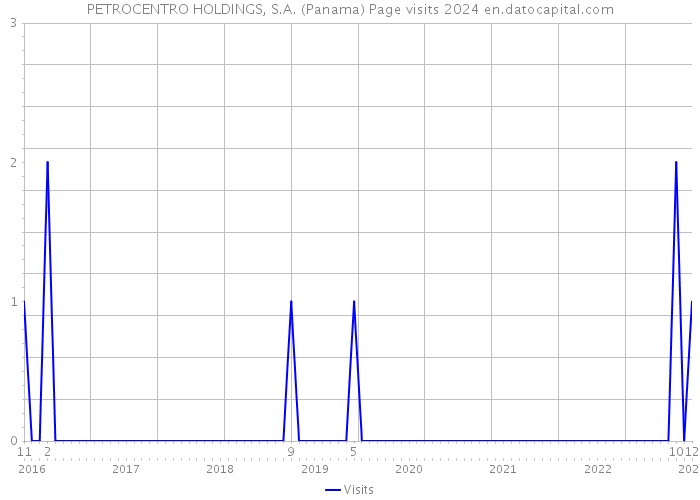 PETROCENTRO HOLDINGS, S.A. (Panama) Page visits 2024 