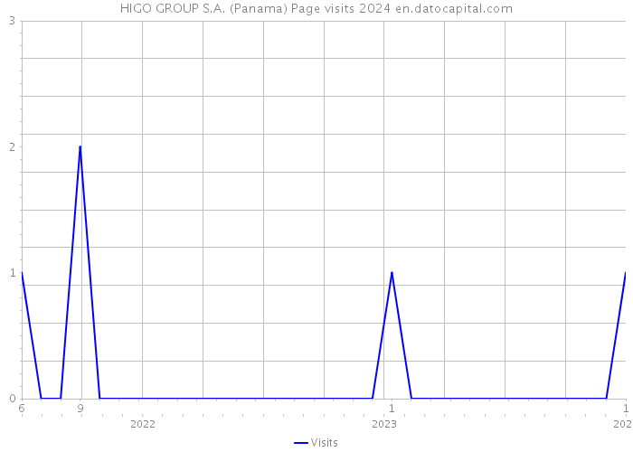 HIGO GROUP S.A. (Panama) Page visits 2024 