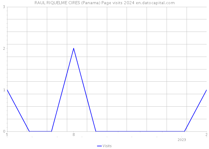 RAUL RIQUELME CIRES (Panama) Page visits 2024 