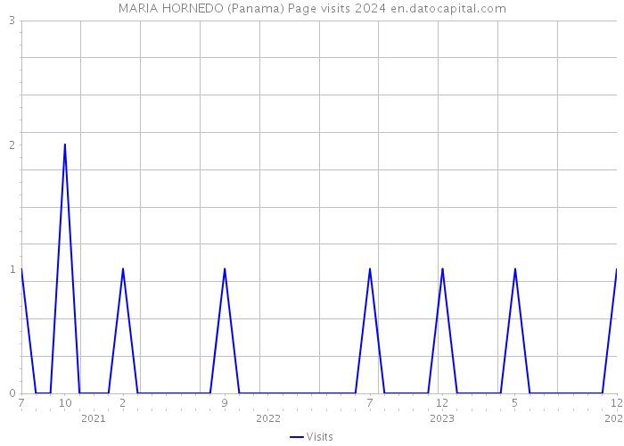 MARIA HORNEDO (Panama) Page visits 2024 