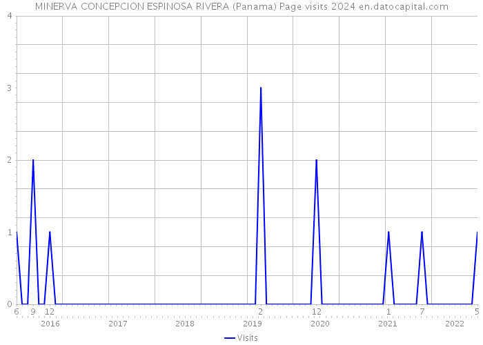 MINERVA CONCEPCION ESPINOSA RIVERA (Panama) Page visits 2024 