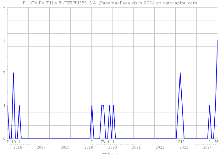 PUNTA PAITILLA ENTERPRISES, S.A. (Panama) Page visits 2024 