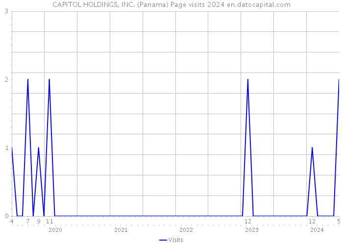 CAPITOL HOLDINGS, INC. (Panama) Page visits 2024 