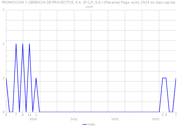 PROMOCION Y GERENCIA DE PROYECTOS, S.A. (P.G.P.,S.A.) (Panama) Page visits 2024 