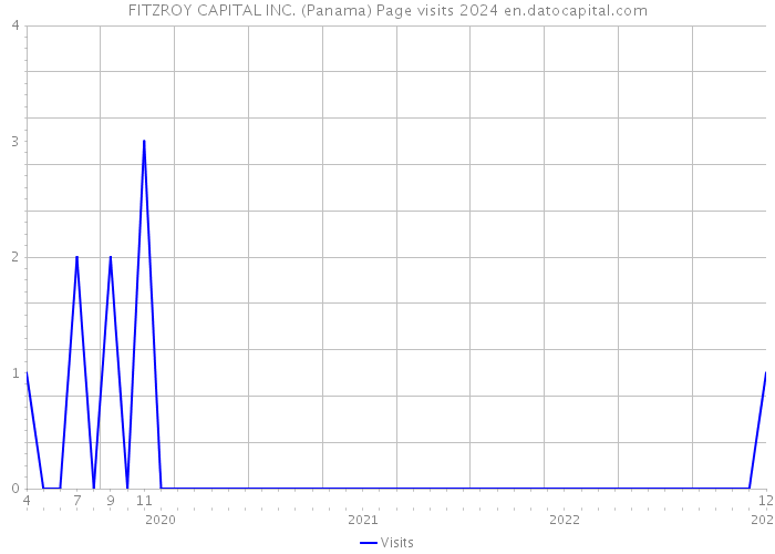 FITZROY CAPITAL INC. (Panama) Page visits 2024 