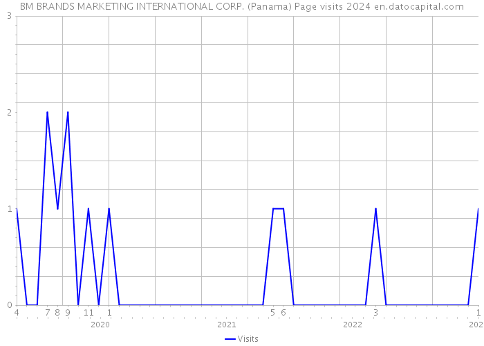 BM BRANDS MARKETING INTERNATIONAL CORP. (Panama) Page visits 2024 