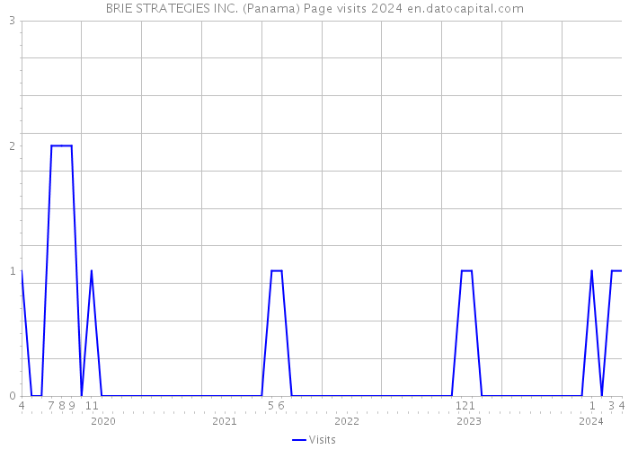BRIE STRATEGIES INC. (Panama) Page visits 2024 