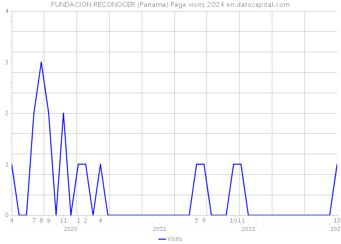 FUNDACION RECONOCER (Panama) Page visits 2024 