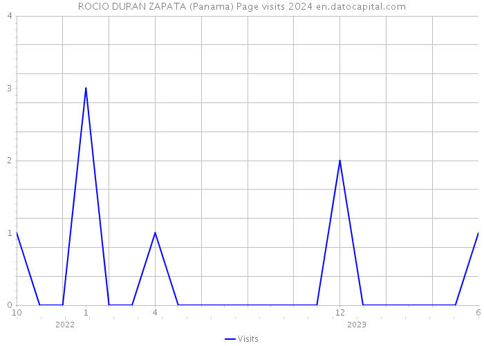 ROCIO DURAN ZAPATA (Panama) Page visits 2024 