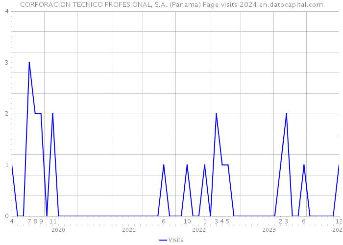 CORPORACION TECNICO PROFESIONAL, S.A. (Panama) Page visits 2024 