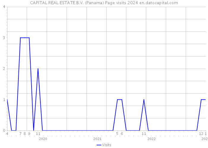 CAPITAL REAL ESTATE B.V. (Panama) Page visits 2024 