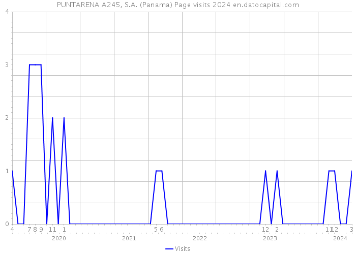 PUNTARENA A245, S.A. (Panama) Page visits 2024 