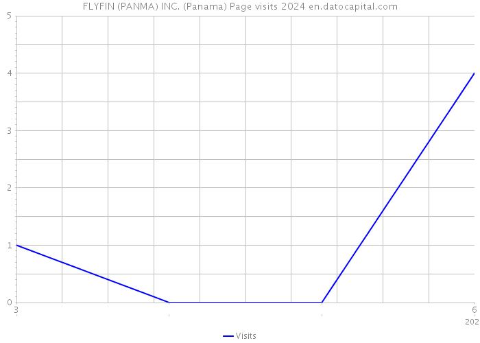 FLYFIN (PANMA) INC. (Panama) Page visits 2024 