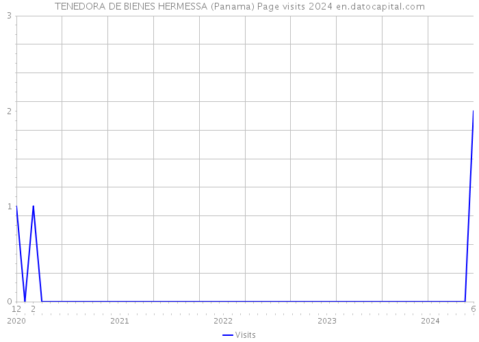 TENEDORA DE BIENES HERMESSA (Panama) Page visits 2024 