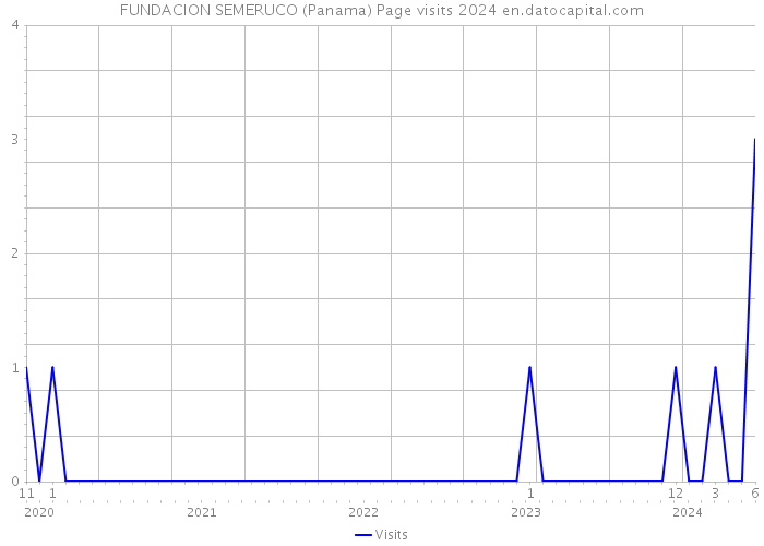 FUNDACION SEMERUCO (Panama) Page visits 2024 