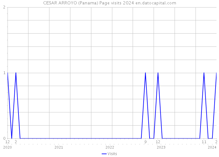 CESAR ARROYO (Panama) Page visits 2024 