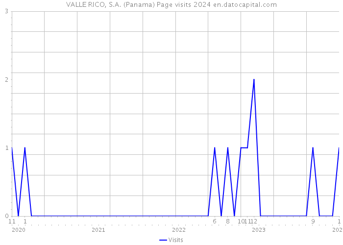 VALLE RICO, S.A. (Panama) Page visits 2024 