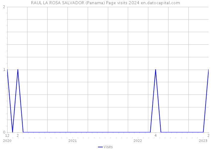 RAUL LA ROSA SALVADOR (Panama) Page visits 2024 