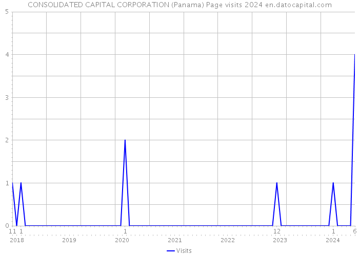 CONSOLIDATED CAPITAL CORPORATION (Panama) Page visits 2024 