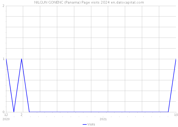 NILGUN GONENC (Panama) Page visits 2024 