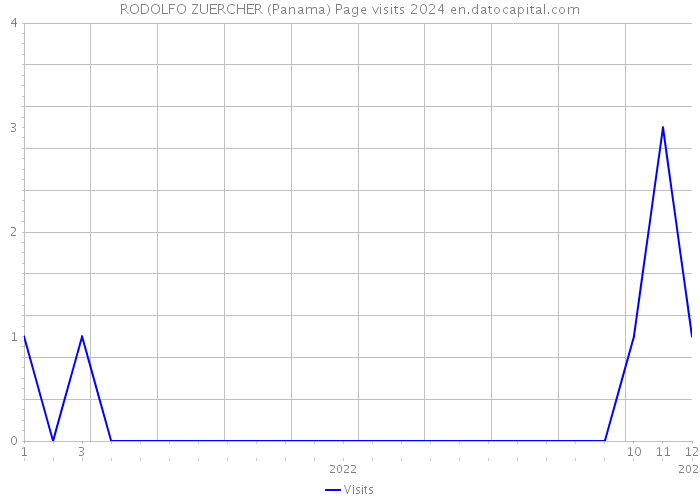 RODOLFO ZUERCHER (Panama) Page visits 2024 