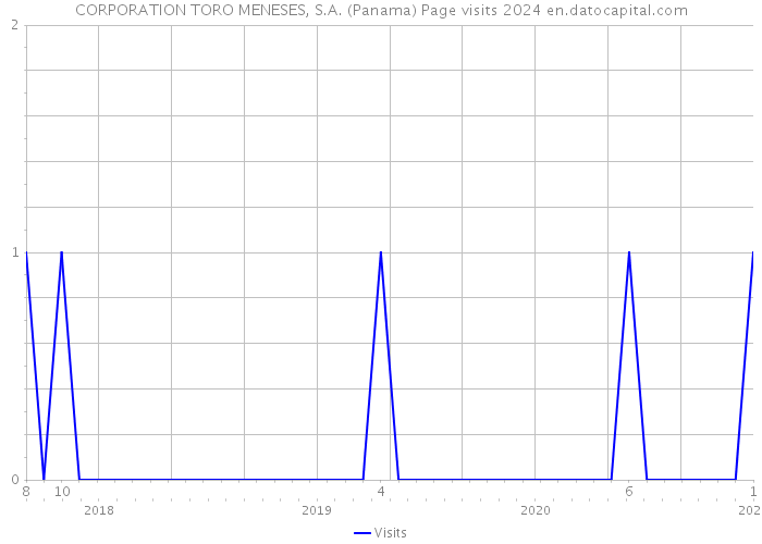 CORPORATION TORO MENESES, S.A. (Panama) Page visits 2024 