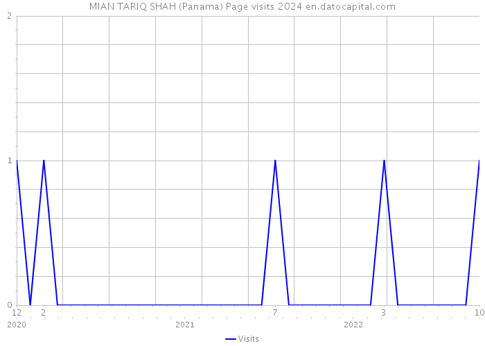 MIAN TARIQ SHAH (Panama) Page visits 2024 