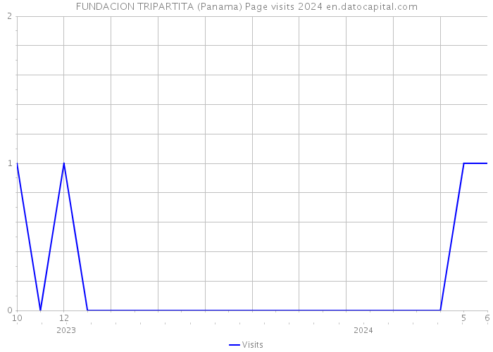 FUNDACION TRIPARTITA (Panama) Page visits 2024 