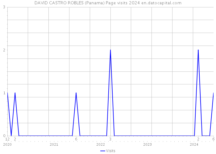 DAVID CASTRO ROBLES (Panama) Page visits 2024 